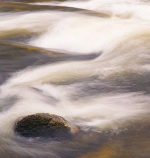 57  CK567-Bicknell-Brook-in-early-spring-.jpg
